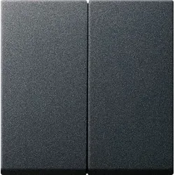 Gira 029528 Wippe 2f System 55 Anthrazit