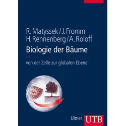 Biologie der Bäume – von der Zelle zur globalen Ebene