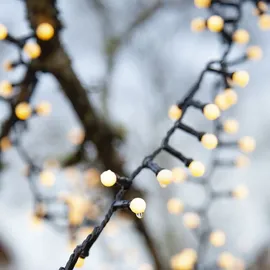 Star Trading LED-Lichterkette Berry Mini 6 m Schwarz Warmweiß