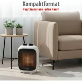 Alpina Heizlüfter PTC-1601 B/H/T: ca. 16x22x11 cm ca. 1500 W