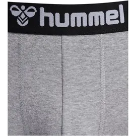hummel 2er-Pack Boxershorts (224039)