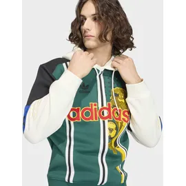 adidas FTBL GFX HD Kapuzensweatshirt Herren Grün M