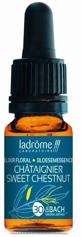 Ladrôme Kastanie Nr. 30