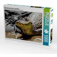 Calvendo Brillenkaiman (Caiman crocodilus) (Puzzle)