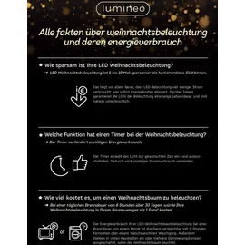 Lumineo LED-Lichterkette 240 LED 18 m transparent warmweiß