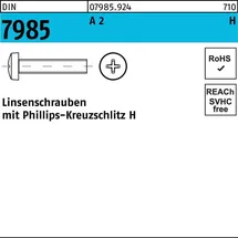 F. REYHER Nchfg. GmbH & Co. KG Linsenschraube DIN 7985 PH M6 x 80 100 Stück