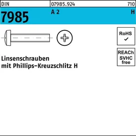 F. REYHER Nchfg. GmbH & Co. KG Linsenschraube DIN 7985 PH M6 x 80 100 Stück