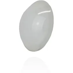 PUK Maxx Linse - Puk Meg Maxx Linse - einseitig mattiert - 55561322201423