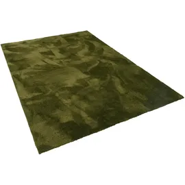 Snapstyle Teppich, Super Soft Hochflorteppich, Livorno (300 x 200 cm,