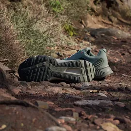adidas Terrex Soulstride Herren Silgrn/Cblack/Seimor 43