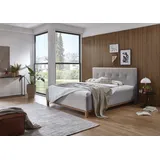 Meise Möbel meise.möbel Polsterbett Catania II 180 x 200 cm Stoff Silber