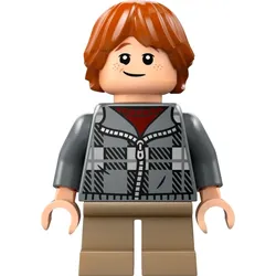 LEGO® - Harry Potter - hp496 - Ron Weasley (76434)