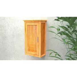 Eisl Wandschrank mit Tür 40x20x70 cm