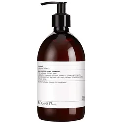 Evolve Organic Beauty SUPERFOOD SHINE SHAMPOO Shampoo 500 ml