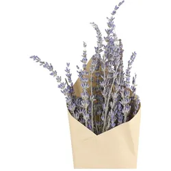 Chic Antique Fleur getrocknete Lavendel Blumen, L60 cm, lavendel