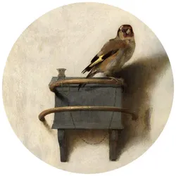 K&L Wall Art Vliestapete »Runde Vliestapete«, Fabritius Vogel Fink Distelfink, mehrfarbig, matt - bunt