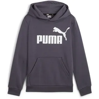Puma Essentials Big Logo Fleece-Hoodie Jungen 23 galactic gray 164
