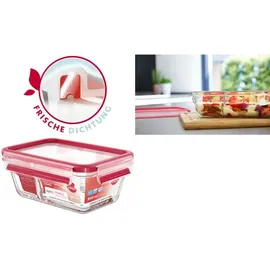 Emsa Frischhaltedose rot 20 x 13,5 cm 0,8 l