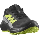 Salomon Herren Alphaglide GTX schwarz 48.0