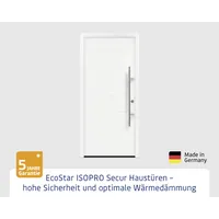 EcoStar Haustür ISOPRO Secur IPS 015 RC2 verkehrsweiß 110 x 210 cm