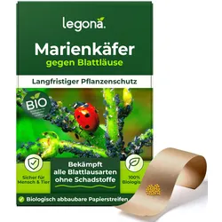 Marienkäferlarven gegen Blattläuse