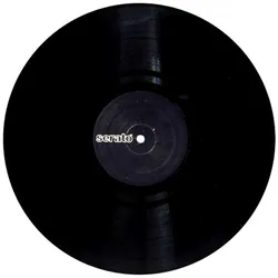 Serato Control Vinyl - Performance-Serie - Schwarz - 2er Set - Control Vinyl