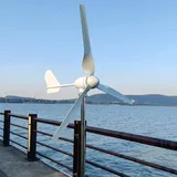 1000W Windkraftanlage 12V 24V 48V Windturbine mit MPPT Laderegler Windräder Windgenerator für Heimgebrauch (24V mit Regler)