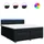 vidaXL Boxspringbett 180 x 200 cm Schwarz