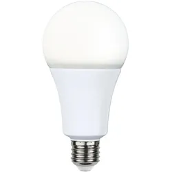 LED Leuchtmittel HIGH LUMEN A80 - E27 - 20W - neutral W 4000K - 2100lm - dimmbar