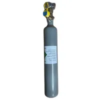 ich-zapfe CO2 - Flasche 0,5 kg ohne Flaschencage