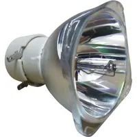 Philips Beamerlampe (nur Leuchtmittel) für BENQ (ersetzt: 5J.J6L05.001)