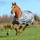 Bucas Smartex Rain 0g - Grau