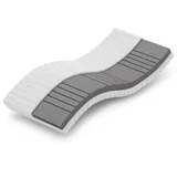 Betten-ABC OrthoMatra KSP-500 XXL 180 x 200 cm H4