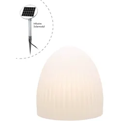 Shining Cage (Solar)