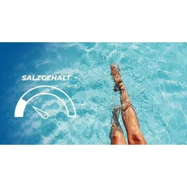 Poolex Turbo Salt 300 Pool bis 30m3 Desinfektion ohne Chlor