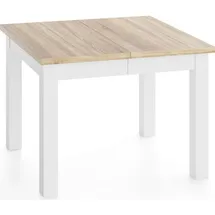 WFL GROUP Quadratischer Esstisch 80 x 77 x 80 cm braun