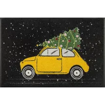 Wash+Dry Fußmatte, On The Way 50x75cm, innen und außen, waschbar, bunt