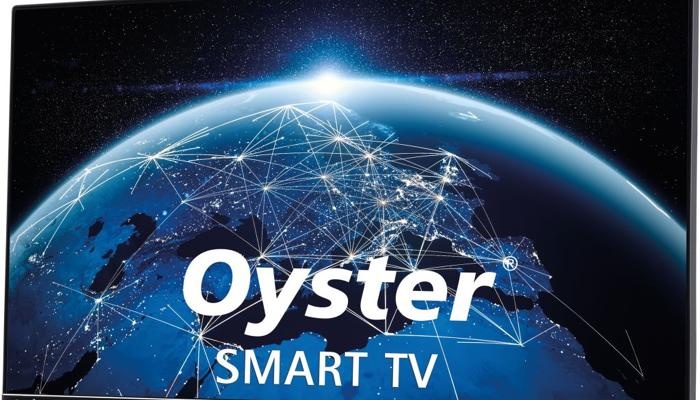 TenHaaft Oyster Smart TFT-LED-TV 24 (61cm), DVB-S2/T2, WiFi, USB 2.0