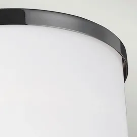 Feiss Elstead Lighting Wandleuchte Prospect, Chrom, Nickel, Metall, Glas, 16.5x24.8x12.8 cm, Grüner Punkt, RoHS, Nur In Filialen Erhältlich