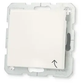 Berker Schuko-Steckdose Unterputz polarweiß glänzend