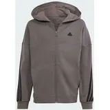 Adidas Kinder Kapuzensweat Future Icons 3-Streifen, Kapuzenjacke - Charcoal / Black - 140