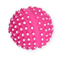 Pet Nova Ball Igel klein mit Noppen 6,5cm, pink, VIN-DENTBALL-PI