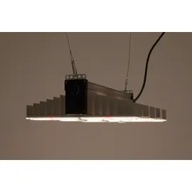 SANlight Evo 3-60 1.5 für 60 x 60 cm