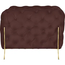 Home Affaire Chesterfield-Sessel HOME AFFAIRE "Amaury Sessel", rosa (rose), B:125cm H:75cm T:97cm, Struktur (100% Polyester9;Samtoptik (100% Polyester), Sessel, aufwändige Knopfheftung, moderne Chesterfield Optik, Fußfarbe wählbar