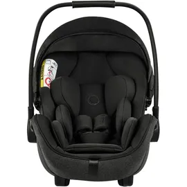 Bugaboo Otter Mineral Washed Black
