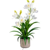 Creativ green Kunstorchidee Orchidee Cymbidie Orchidee, Creativ green, Höhe 58 cm, mit traumhaft schönen Blüten weiß 58 cm