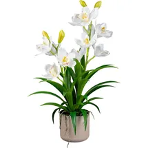 Creativ green Kunstorchidee Orchidee Cymbidie Orchidee, Creativ green, Höhe 58 cm, mit traumhaft schönen Blüten weiß 58 cm