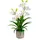 Creativ green Kunstorchidee Orchidee Cymbidie Orchidee, Creativ green, Höhe 58 cm, mit traumhaft schönen Blüten weiß 58 cm