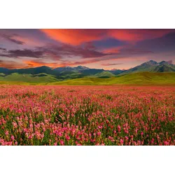 Fototapete PAPERMOON "GEBIRGE-FELD BLUMEN BERGE WIESE SONNE WALD FLUSS WOLKEN", bunt, B:4,00m L:2,60m, Vlies, Tapeten