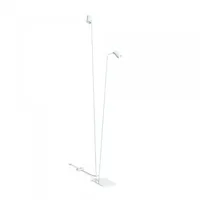 Licht-Erlebnisse Licht-Erlebnisse, Stehlampe, Colene (GU10)